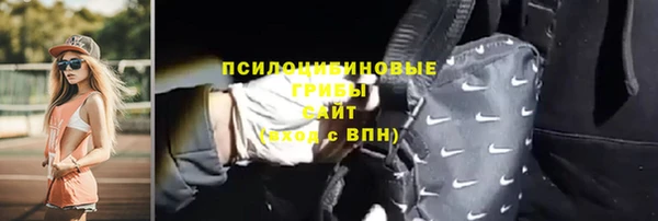 хмурый Горно-Алтайск